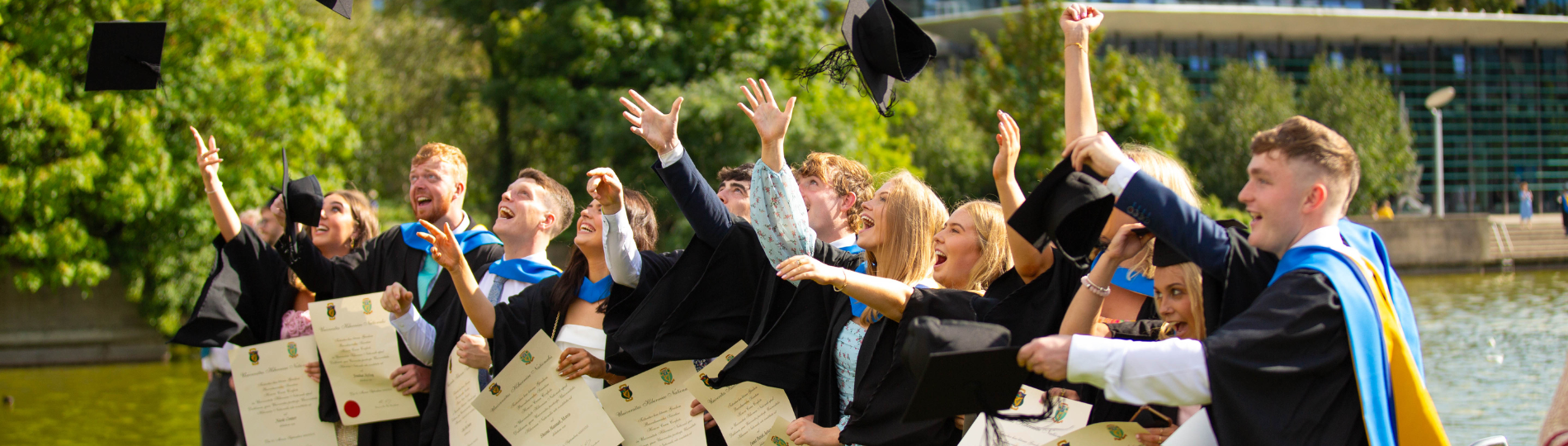 UCD Alumni LinkedIn Newsletter